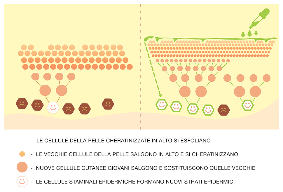 valdoré signaturé complex