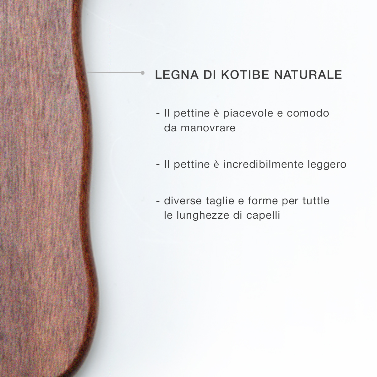 SPAZZOLA DI PROTEZIONE PER CAPELLI